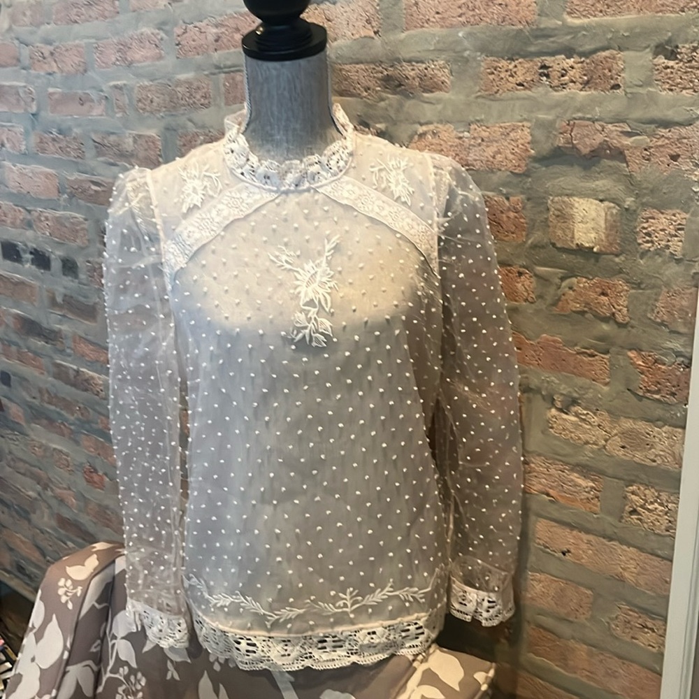 Zara Cream and Sheer Top with Lace Trimming, Size Medium